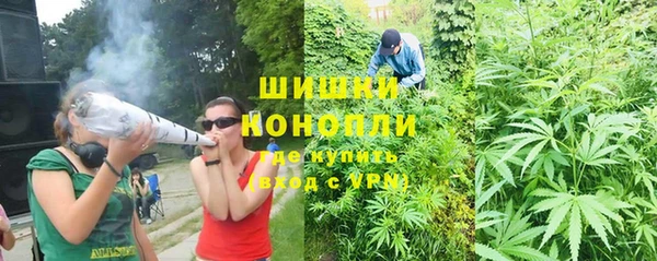 экстази Бородино
