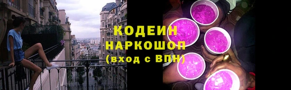 экстази Бородино