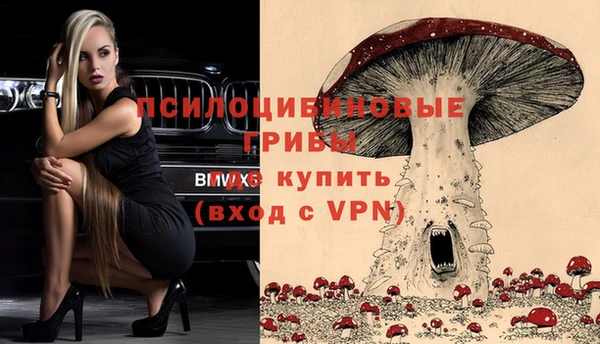 ешки Бронницы