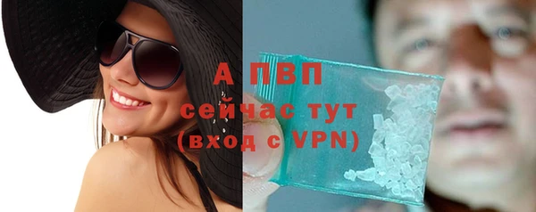экстази Бородино