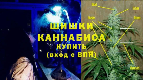 экстази Бородино