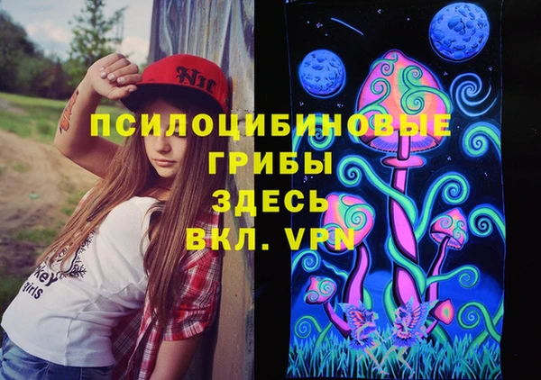 ешки Бронницы