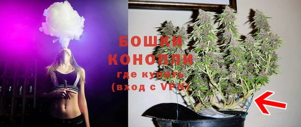 ешки Бронницы