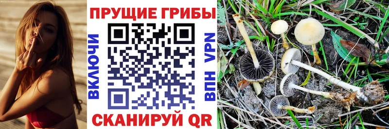 Галлюциногенные грибы прущие грибы  Меленки 
